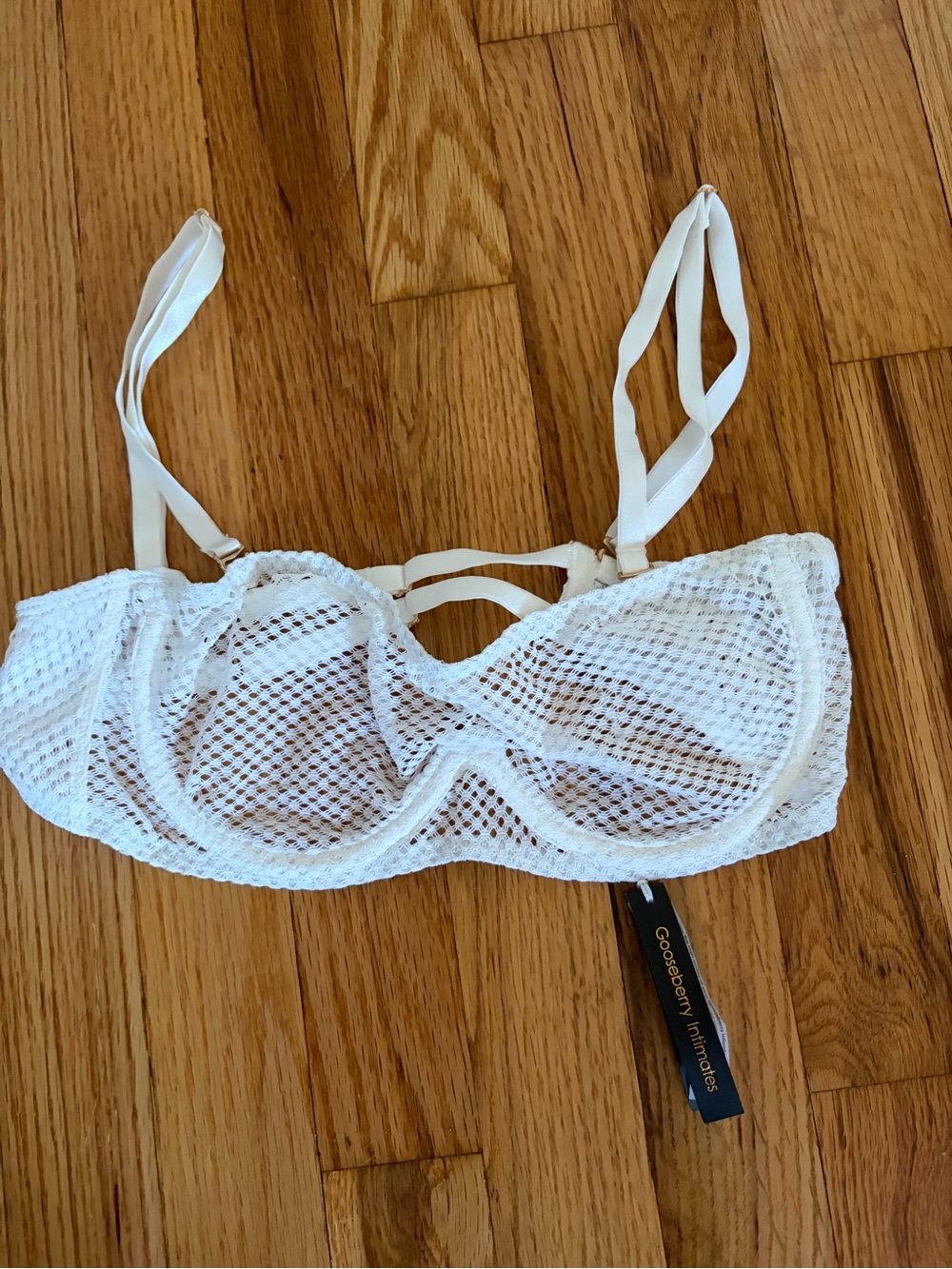 GOOSEBERRY INTIMATES Sweet Nothing Mesh Bra in Ivory Size Small NWT - Picture 3 of 4